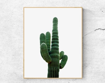 Cactus Print, Botanical Print, Succulents, Printable Wall Art, Large Wall Art, Desert Print, Green Home Decor, Living Room Decor, Wall Decor