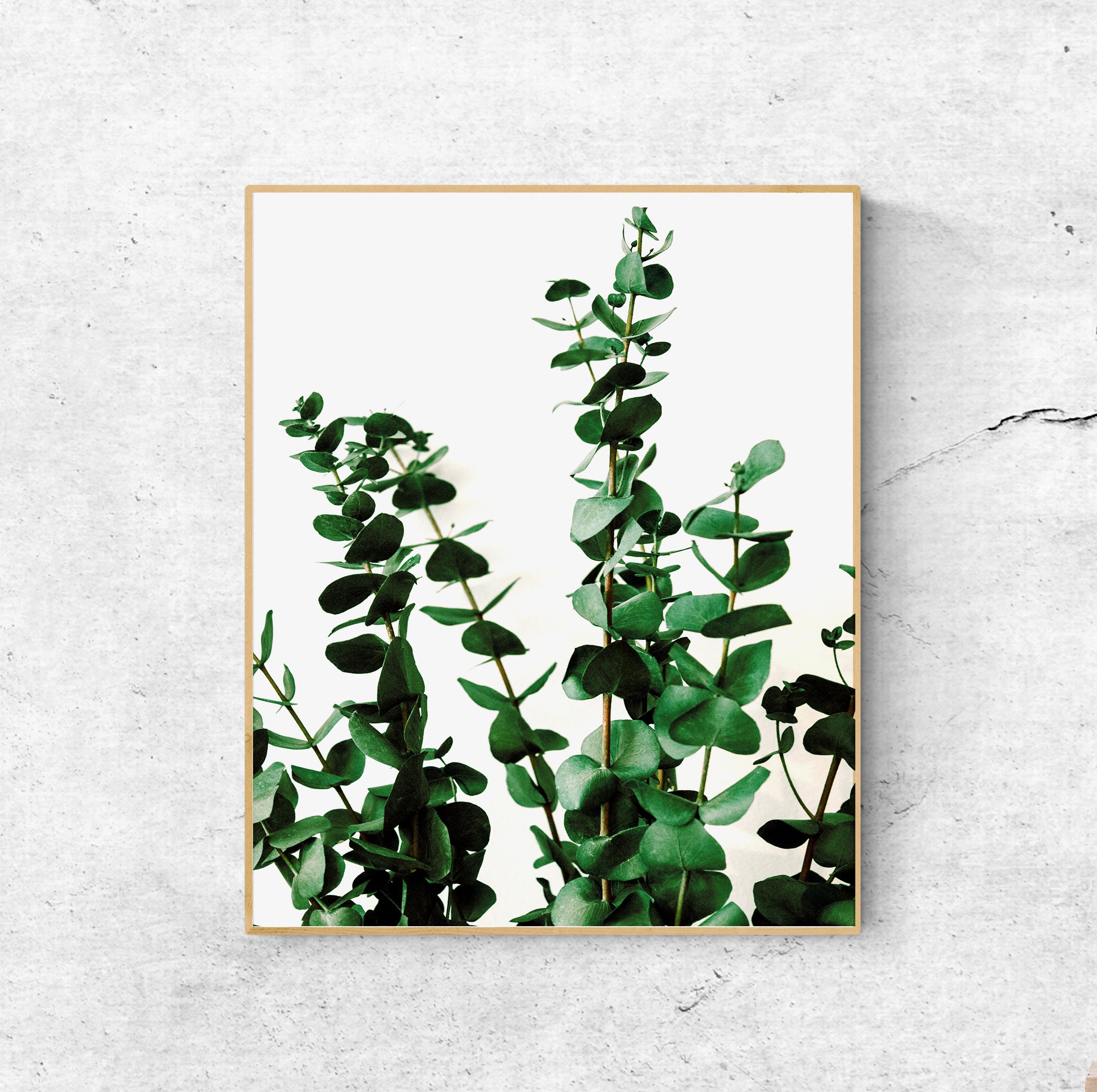 Living Room Wall Decor Eucalyptus Gallery Wall Art Set Of 6 Etsy