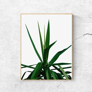 Palm Leaves Poster, Printable Large Wall Art Prints, Botanical Prints, Palm Leaf Prints, Digital Download Art, Palm Tree Prints