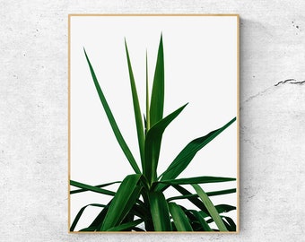Palm Leaves Poster, Printable Large Wall Art Prints, Botanical Prints, Palm Leaf Prints, Digital Download Art, Palm Tree Prints