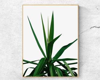Palm Leaf Printable Wall Art: Tropical Greenery Poster (Digital Download)