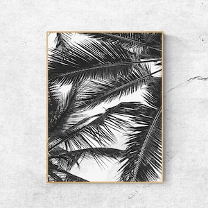 Black and White Palm Leaf Print: Botanical Wall Art (Digital Download)