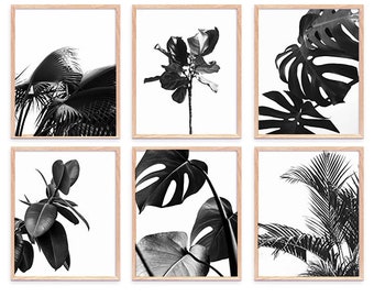 Botanical Prints Black White, Downloadable Modern Prints Black And White, Wall Art Prints, Printable Set Digital Download