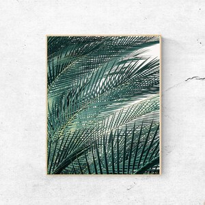 Palmbladprint: groene tropische muurkunst (digitale download)