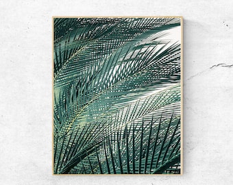 Palm Leaf Print: Green Tropical Wall Art (Digital Download)