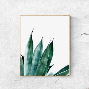 Agave Pflanze Druck, Kaktus Wand Kunstdrucke, Kaktus Pflanze, druckbare Kaktus Poster, digitaler Download Kunst, Wüstenpflanzen Poster, Kakteen Drucke