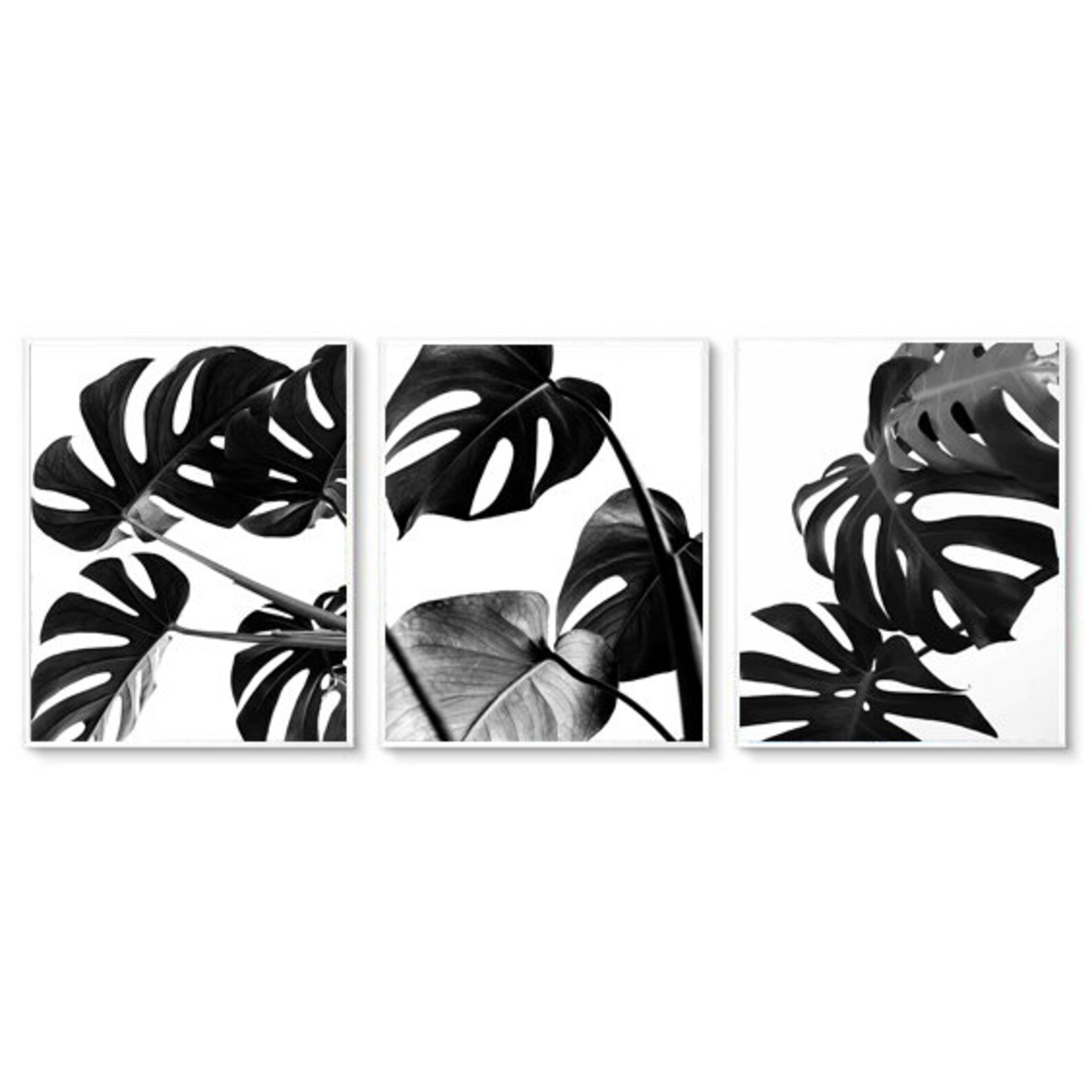 Set of 3 Wall Art Set of 3 Botanical Prints Black and White Etsy