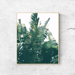 Tropical Banana Leaf Print: Scandinavian Botanical Art (Digital Download)