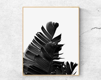 Black and White Palm Leaf Print: Tropical Wall Art (Instant Download)
