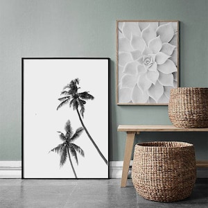 May include: Black and white framed print of two palm trees against a white background. A framed grayscale image of a succulent plant hangs above a wooden bench. Two woven baskets sit on the bench and floor.