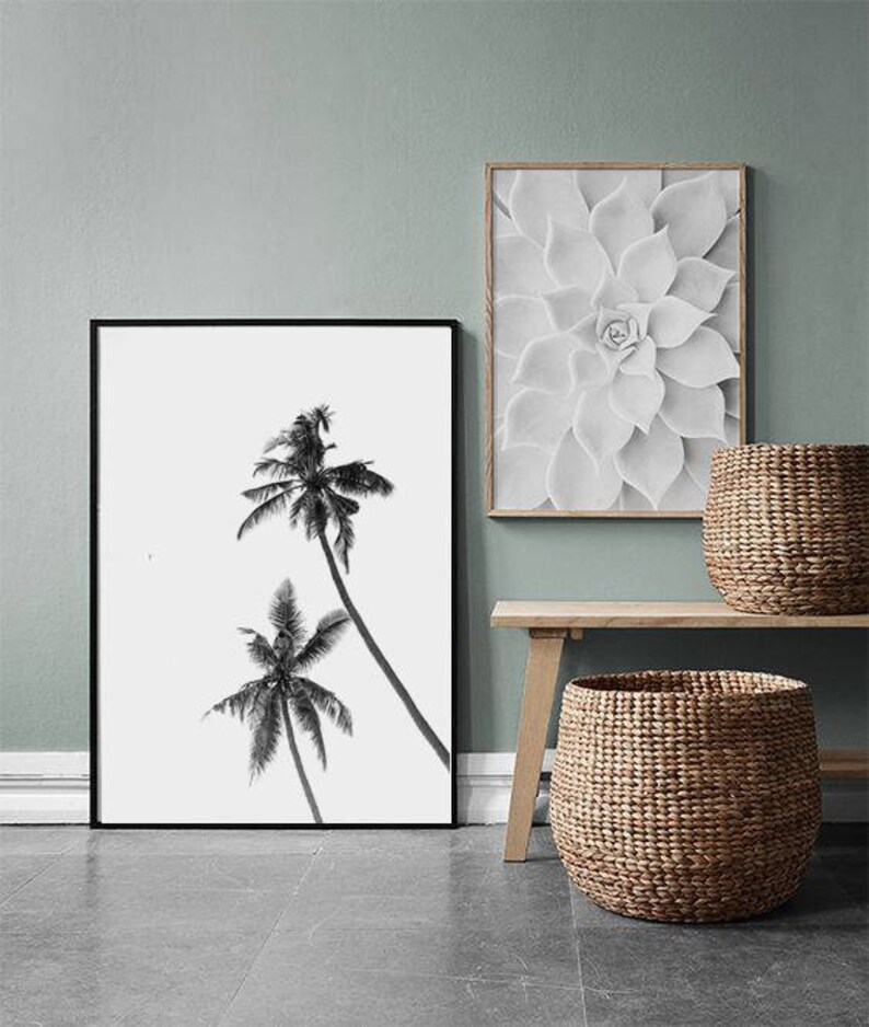 May include: Black and white framed print of two palm trees against a white background. A framed grayscale image of a succulent plant hangs above a wooden bench. Two woven baskets sit on the bench and floor.