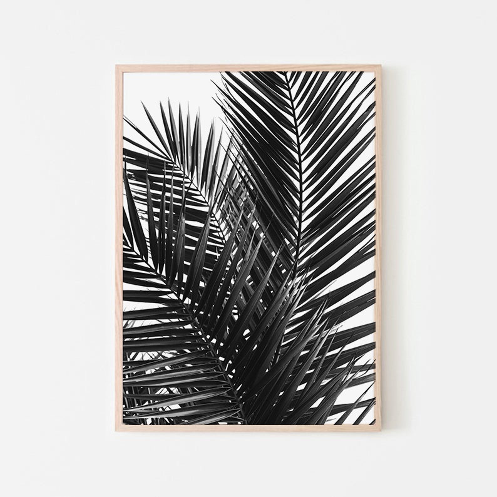 Black and White Palm Leaf Art Print: Large Leaf Poster (digital ...