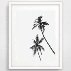 May include: Black and white framed print featuring two palm trees against a white background. The palm trees are detailed with their fronds and trunks, creating a tropical aesthetic. The print is encased in a white frame.