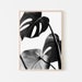 Botanical Prints Black White, Downloadable Modern Prints Black and ...
