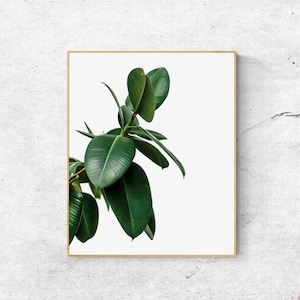 Greenery Print, Mint Green Leaf Print, Botanical Wall Art Print, Tropical Leaf Print, Minimalist Palm Print, Mint Green Nursery Decor