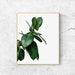 see more listings in the Botanical Wall Art section