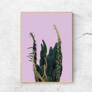 Rosa und grüne Wand Kunst Druck, Kakteen Druck, Sukkulenten Druck, Kaktus Druck, druckbare Kaktus Wandkunst, digitaler Download Kunst, Kaktus Poster