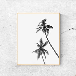 May include: Black and white framed print featuring two palm trees against a bright white background. The palm trees are detailed with visible fronds and trunks, creating a tropical aesthetic. The frame is a light brown color.
