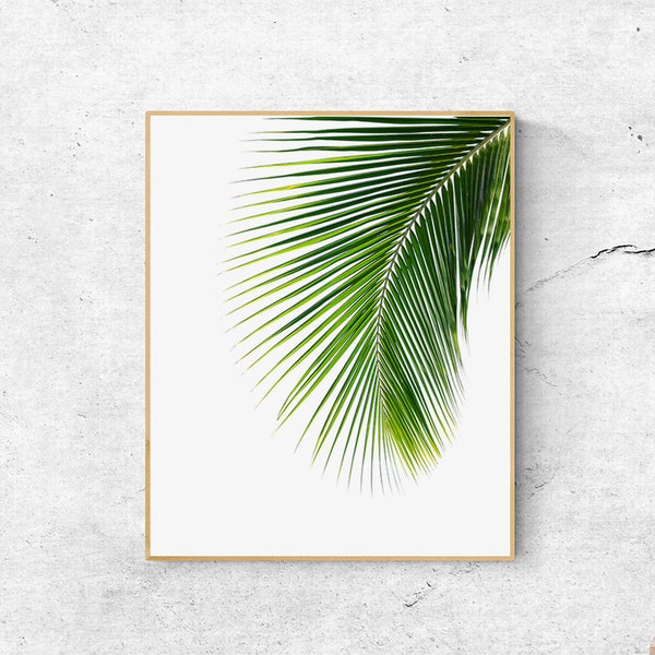 Muurkunst palmblad: Scandinavische moderne print (digitale print)
