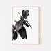 Botanical Prints Black White, Downloadable Modern Prints Black and ...