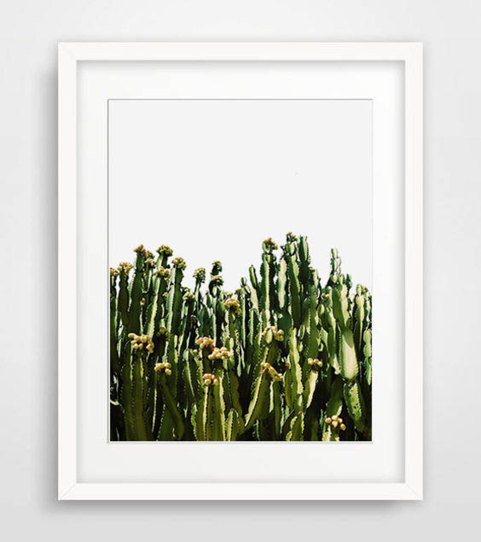Cactus Art Cactus Print Botanical Print Printable Art - Etsy