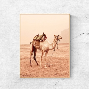 Camel Art Print: Desert Animal Photography, Boho Nursery Decor (Digital Download)