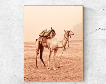 Camel Art Print: Desert Animal Photography, Boho Nursery Decor (Digital Download)