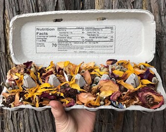 Two Beautiful Botanical Beeswax Firestarter Egg Cartons Long-Burning Fireplace Wood Stove Fire Pit Bonfire Multi-colored