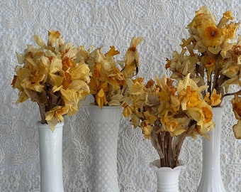 DRIED DAFFODIL BOUQUETS Rare Spring Decor Narcissus Posy Natural Home Decor Yellow Flower Bundles Homegrown Floral Spray Gift Craft Supply