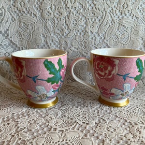 MUG INGLÉS GO Sylish Rosa Verde Oro Par Fina China Mic Dish Safe Set Hot Drinkware Café Taza de Té Decoración del Hogar Country Cottage Core Regalo imagen 9