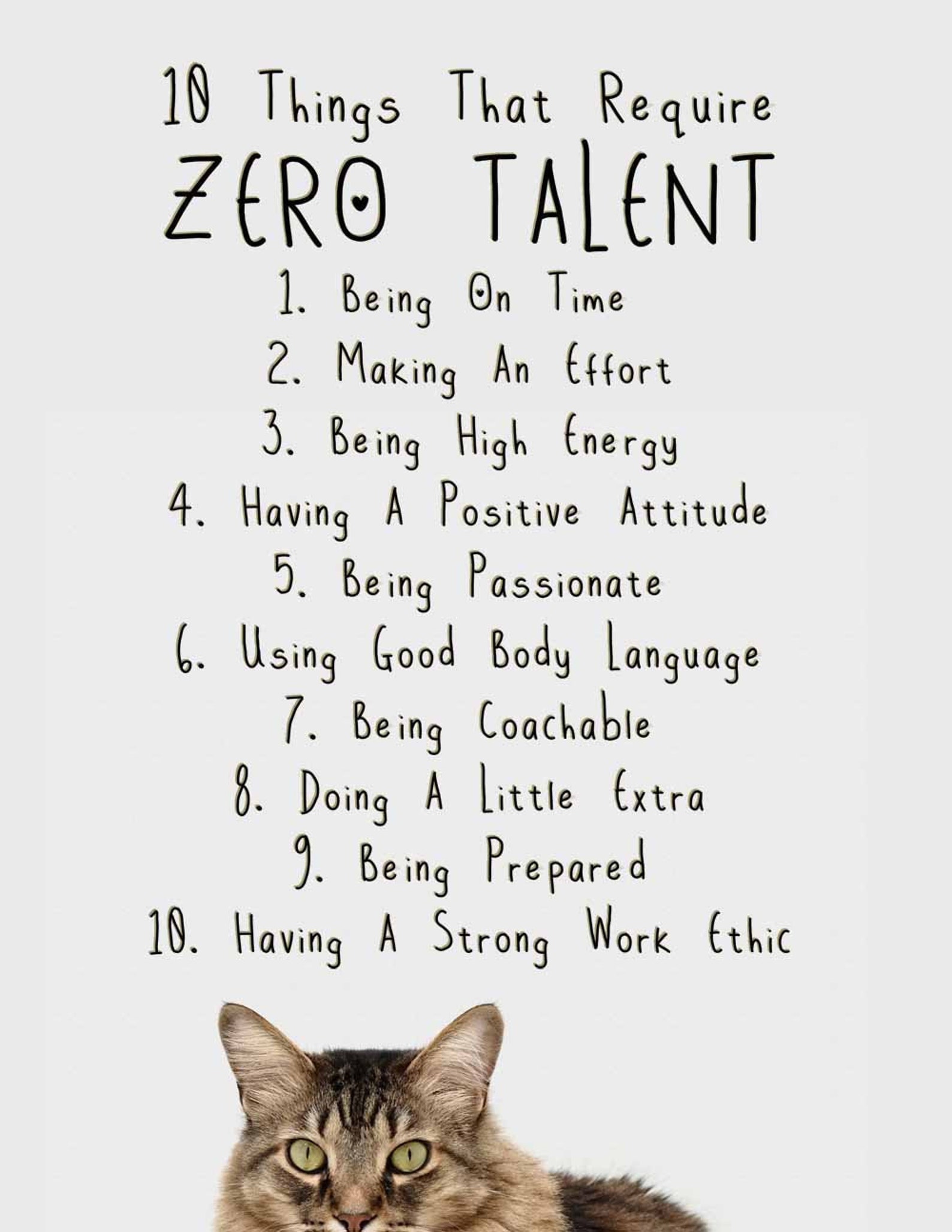 Require null. 10 things that require zero talent. кошка ena.