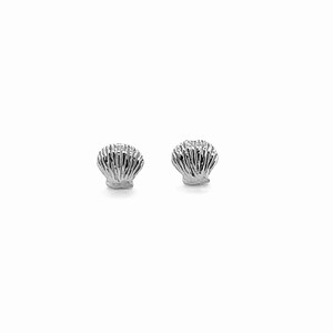 Petite shell ear studs in Silver