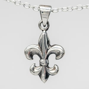 Zilveren Fleur de Lis - Franse leliebloem - Wapenschild - Iris - New Orleans sieraden - Heiligen ketting-hanger ketting HGP100