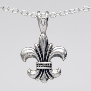 Zilveren Fleur de Lis - Franse leliebloem - Wapenschild - Iris - New Orleans sieraden - Heiligen ketting-hanger ketting TNA141