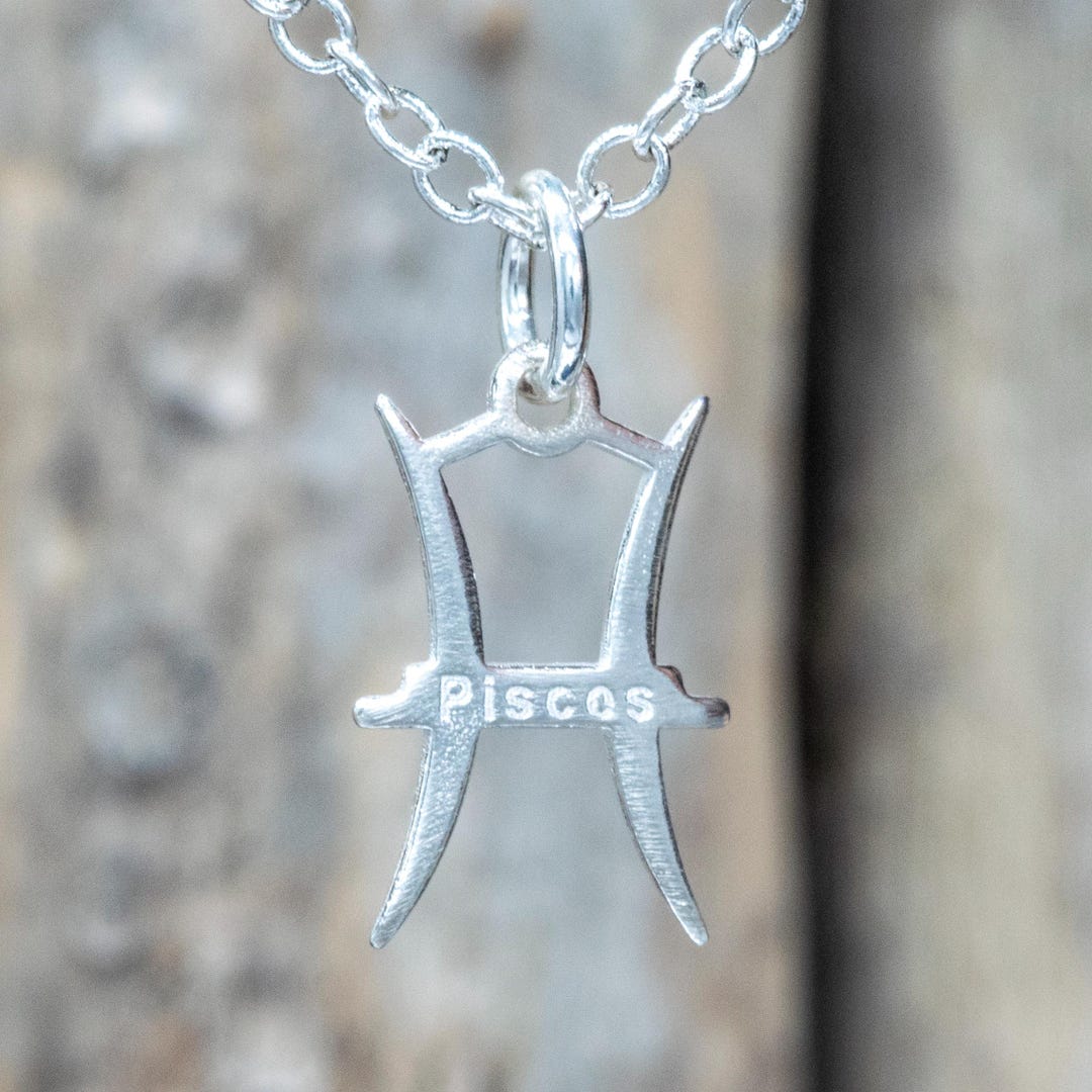 Sterling Silver Pisces Zodiac Pendant Necklace, Astrological Jewelry - Etsy