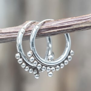 Könnte beinhalten: Ein Paar silberner Creolen mit Perlendesign. Die Ohrringe sind rund und haben kleine, runde Perlen am unteren Rand. Die Ohrringe werden auf einem braunen Zweig vor einem verschwommenen Hintergrund präsentiert.