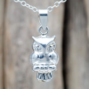 Puede incluir: Un colgante de búho de plata pulida suspendido de una cadena de plata a juego. La figura del búho presenta rasgos faciales detallados, incluyendo ojos prominentes y orejas puntiagudas, con una sección de cola texturizada en la base.