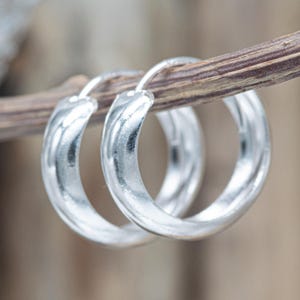 Peut inclure: Une paire de boucles d'oreilles créoles argentées. Les boucles d'oreilles ont un design torsadé et sont rondes. Elles sont présentées sur une brindille brune, avec un arrière-plan flou.