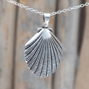 May include: A silver seashell pendant necklace. The pendant is detailed with a textured, ribbed design.