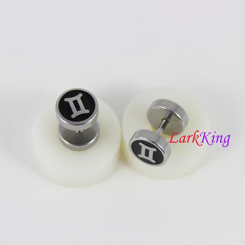 twins star sign Larkking SE3505 Double sided Gemini star sign earrings surgical stainless steel astrology symbol horoscope earrings