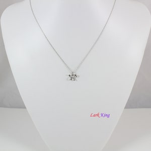 Puede incluir: Un collar de tono plateado que presenta una cadena delicada y un peque&ntilde;o colgante de estrella de cinco puntas. La estrella tiene una superficie pulida y reflectante. El texto "Lark King" est&aacute; impreso en una fuente degradada en la parte inferior derecha.