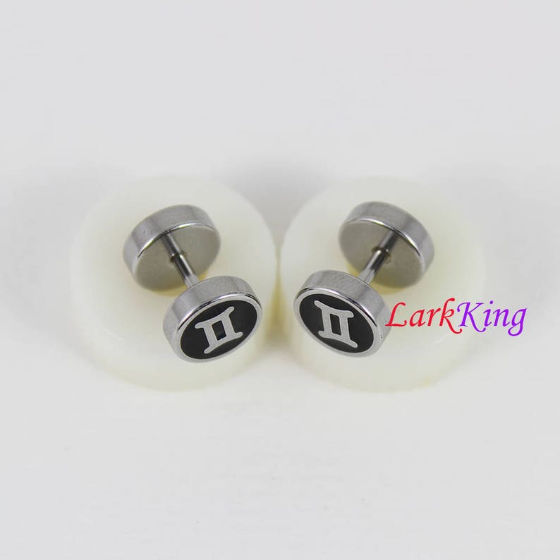 twins star sign Larkking SE3505 Double sided Gemini star sign earrings surgical stainless steel astrology symbol horoscope earrings