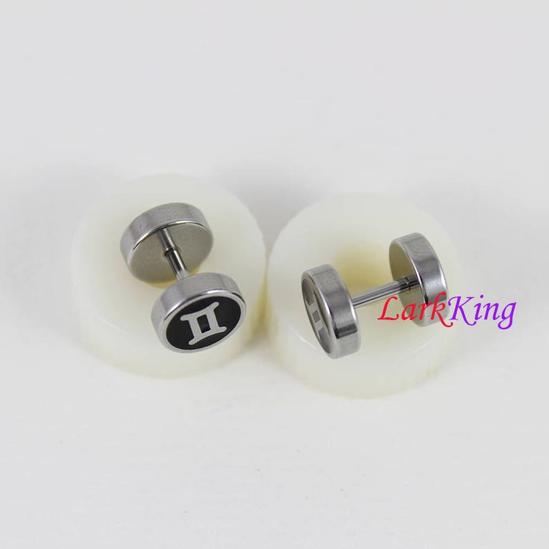 twins star sign Larkking SE3505 Double sided Gemini star sign earrings surgical stainless steel astrology symbol horoscope earrings