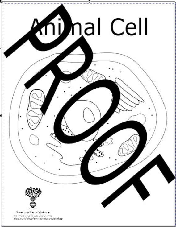 Animal Cell Coloring Page - Etsy