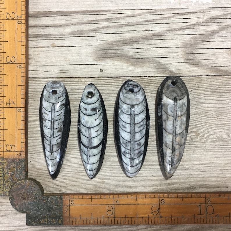 4 Orthoceras Pendants Polished Drilled Squid Large Black Stone Focal Pendant Fossil Beads Nature jewelry Fossil pendant Fossil Sea Life