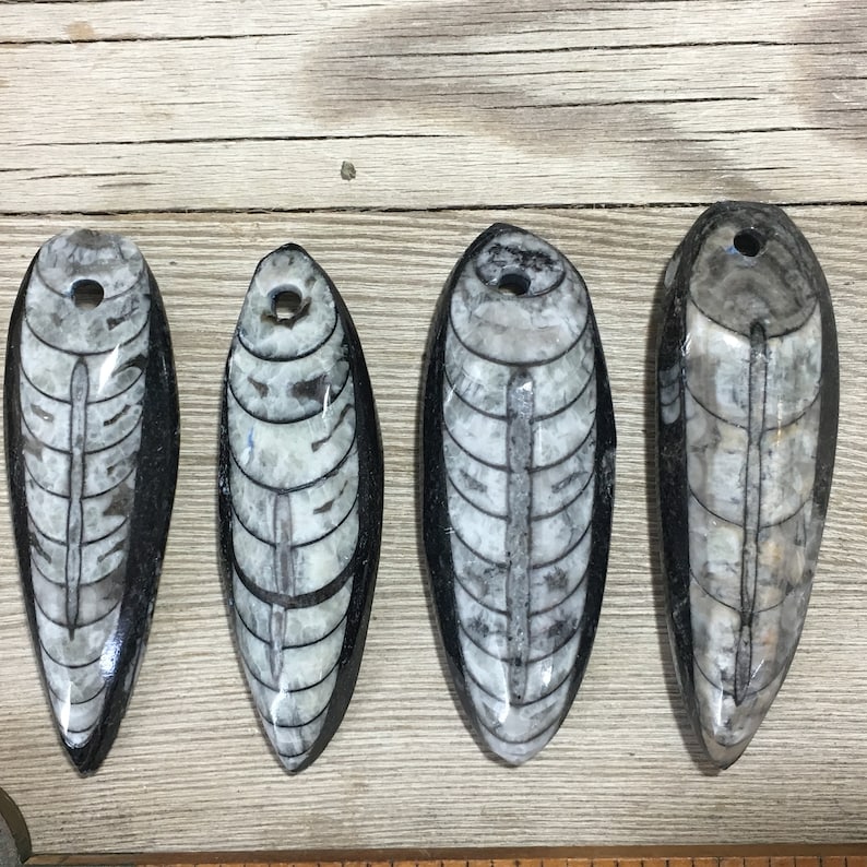 4 Orthoceras Pendants Polished Drilled Squid Large Black Stone Focal Pendant Fossil Beads Nature jewelry Fossil pendant Fossil Sea Life