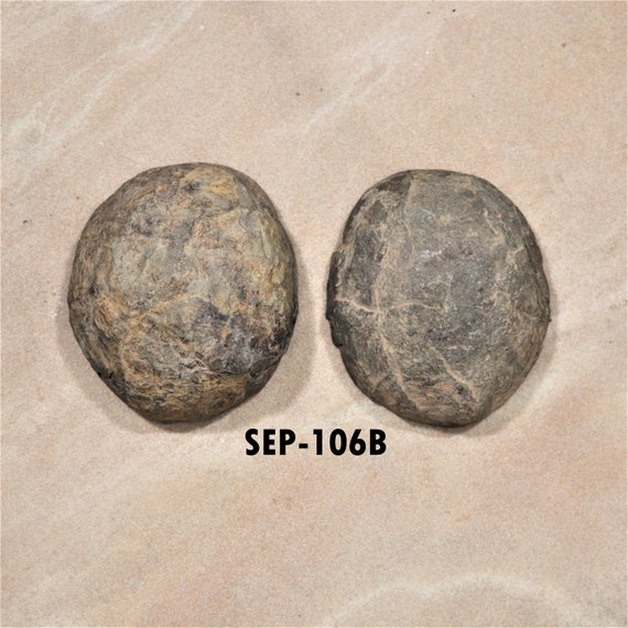 Septarian Nodules, Moroccan Fossil, Rare Stone Specimens
