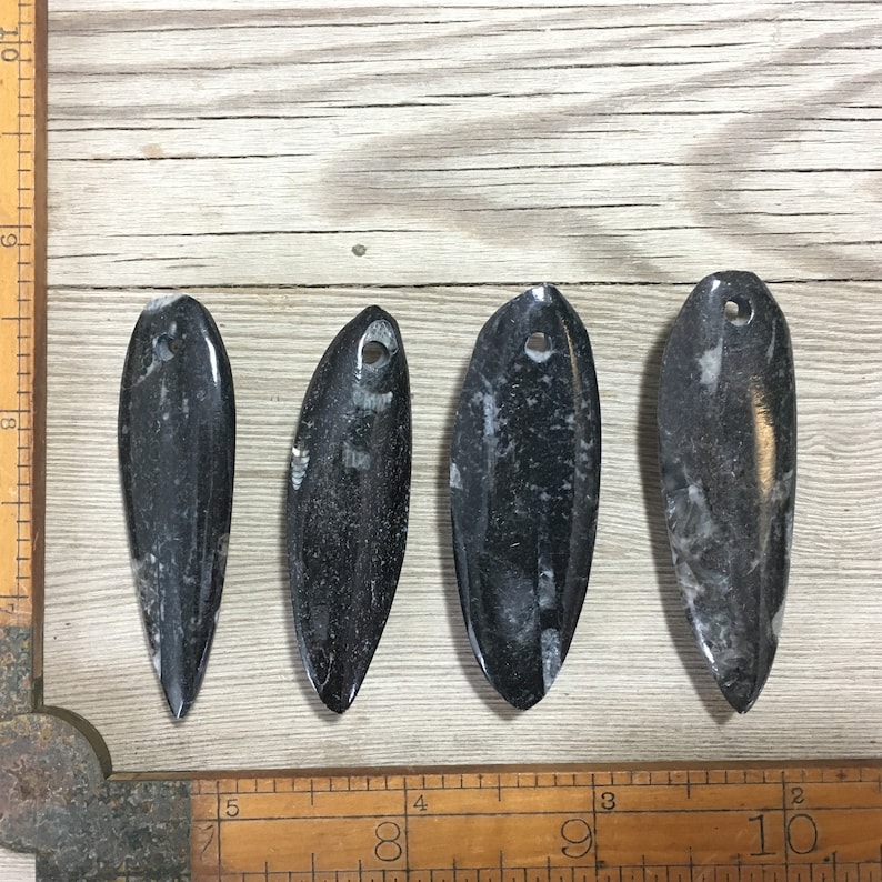 4 Orthoceras Pendants Polished Drilled Squid Large Black Stone Focal Pendant Fossil Beads Nature jewelry Fossil pendant Fossil Sea Life