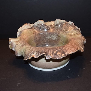 Unique Organic and Attractive Natural Freeform Bowl Glazed Pottery Bowl Biomorphic Planter Shell Design Container