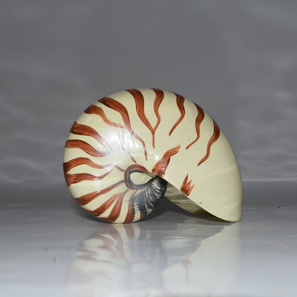 Large Resin Nautilus Repertus Natural Seashell Specimen, Nautilus Shell, Big Conch Ocean Shell Figurine Sculpture